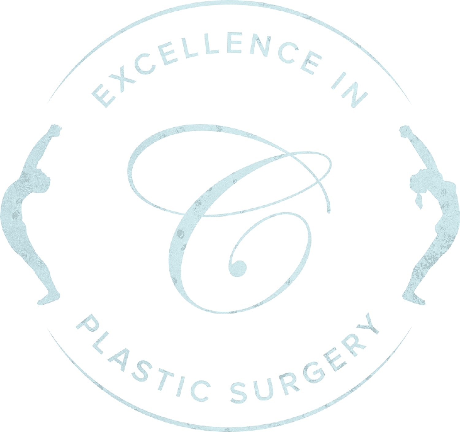 Logo for excellence in plastic surgery.