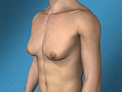 3D model of a male torso side view.
