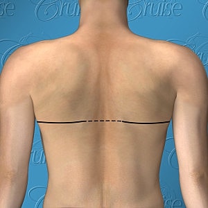 Back view of a person with measurement line