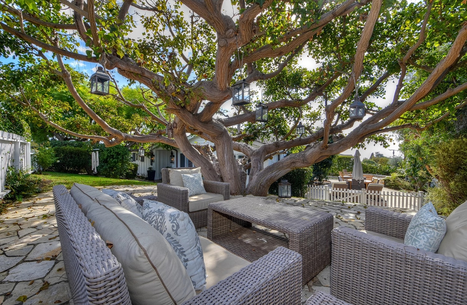 Cozy outdoor seating under a large tree.