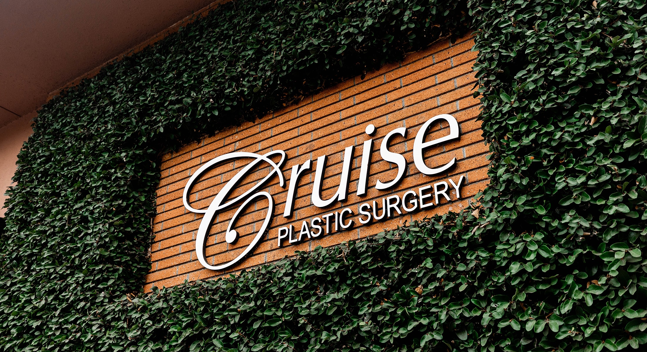 Cruise Plastic Surgery sign on a brick wall